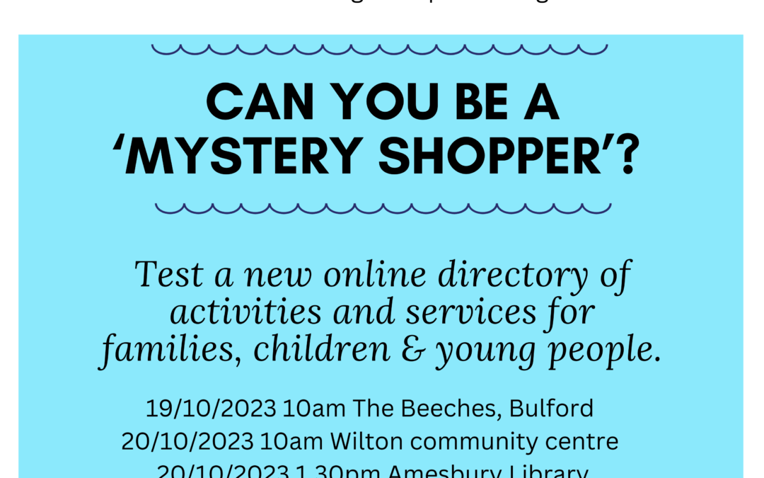Can you be a Mystery Shopper?